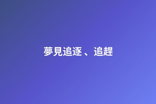 夢見追逐、追趕